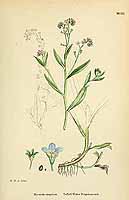  no thumbnail available