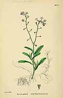  no thumbnail available