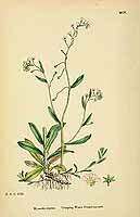  no thumbnail available