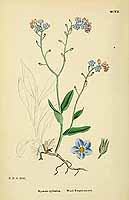  no thumbnail available