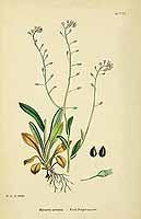  no thumbnail available