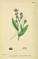  no thumbnail available