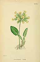  no thumbnail available