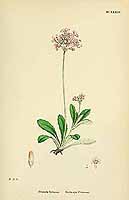  no thumbnail available