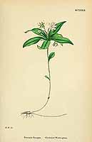  no thumbnail available