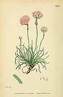  no thumbnail available