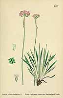  no thumbnail available