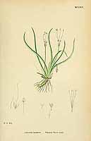  no thumbnail available