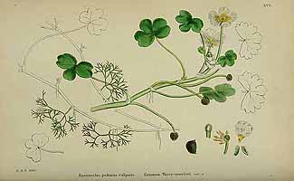  no thumbnail available