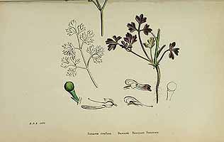  no thumbnail available