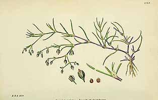  no thumbnail available