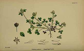  no thumbnail available