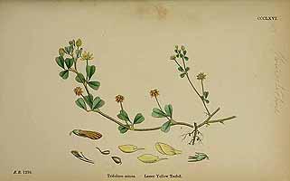  no thumbnail available