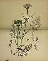  no thumbnail available