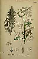  no thumbnail available