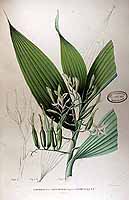  no thumbnail available