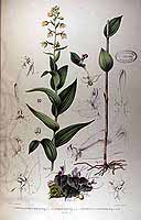  no thumbnail available