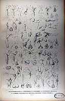  no thumbnail available