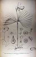  no thumbnail available