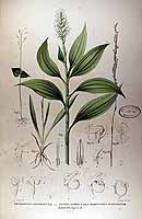  no thumbnail available