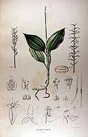  no thumbnail available