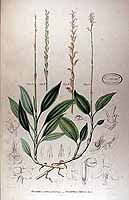  no thumbnail available