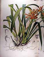  no thumbnail available