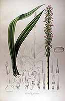  no thumbnail available