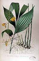  no thumbnail available