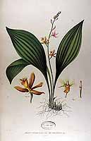  no thumbnail available