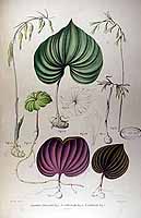  no thumbnail available