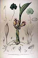  no thumbnail available