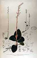  no thumbnail available