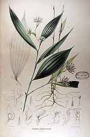  no thumbnail available