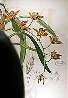  no thumbnail available