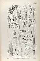  no thumbnail available