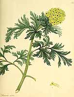  no thumbnail available