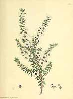  no thumbnail available