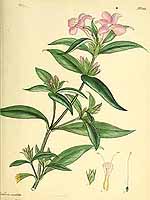  no thumbnail available