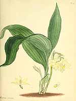  no thumbnail available