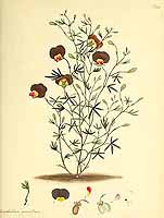  no thumbnail available