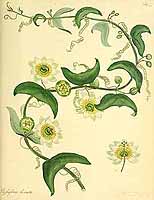  no thumbnail available