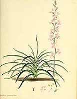  no thumbnail available