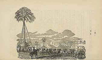  no thumbnail available