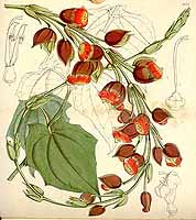  no thumbnail available