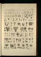  no thumbnail available