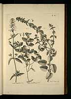  no thumbnail available