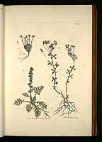  no thumbnail available