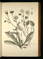  no thumbnail available