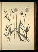  no thumbnail available